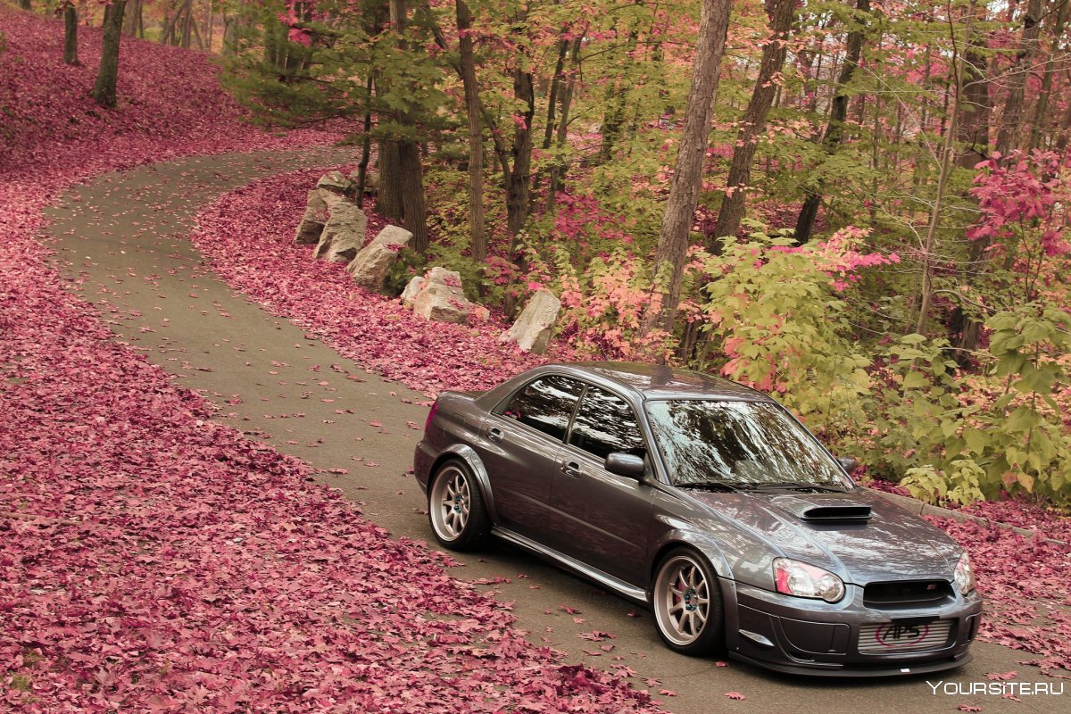 Subaru Impreza WRX STI осень