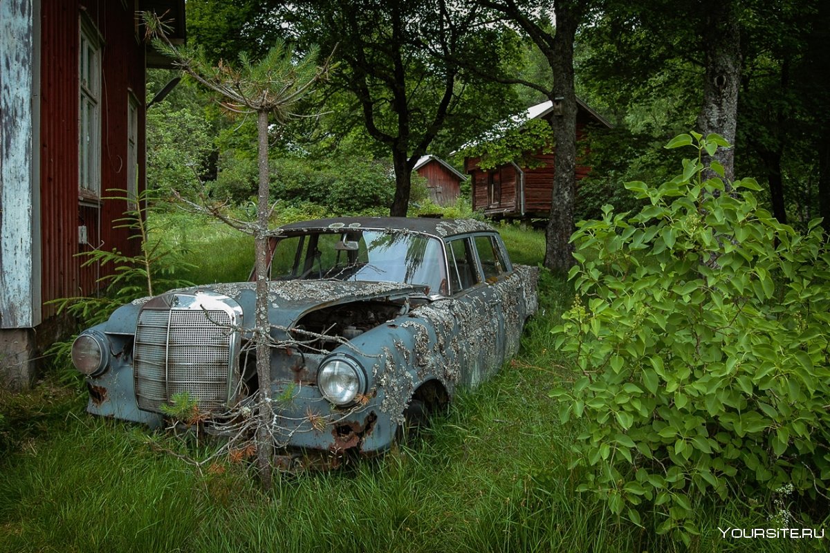 Старые брошенные автомобили