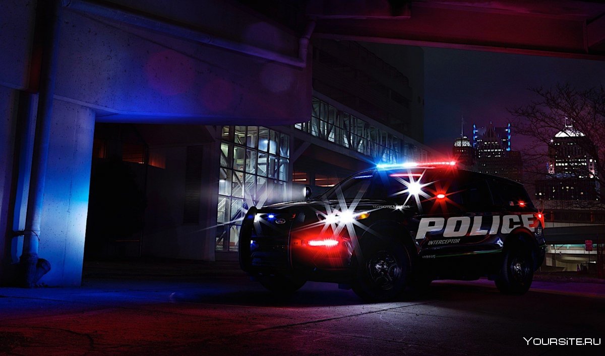Машины полиции США 2020