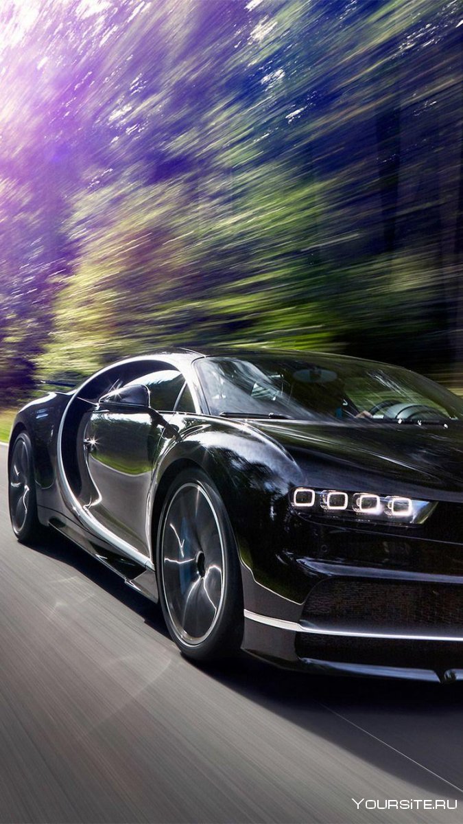 Shelley машина