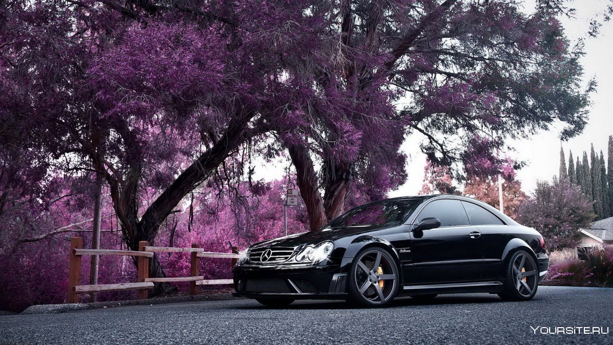 Chevrolet Camaro фиолетовая