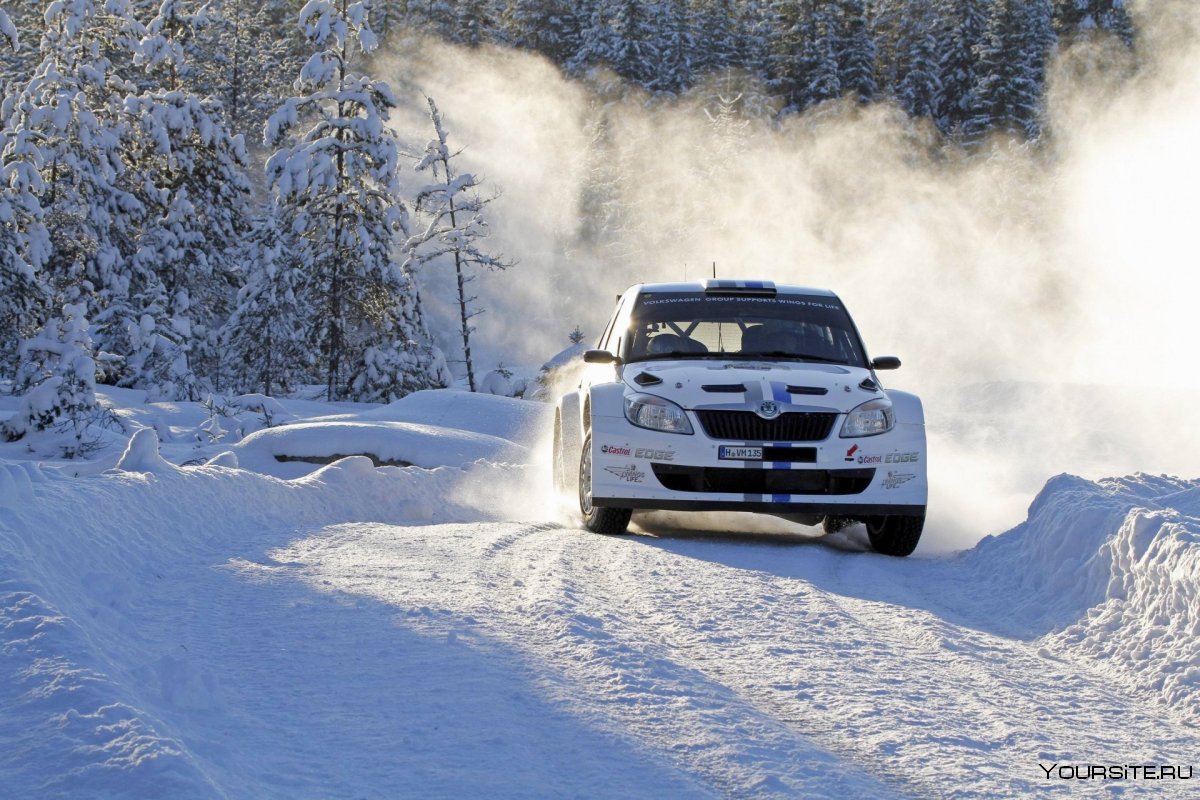 Skoda Fabia WRC Winter