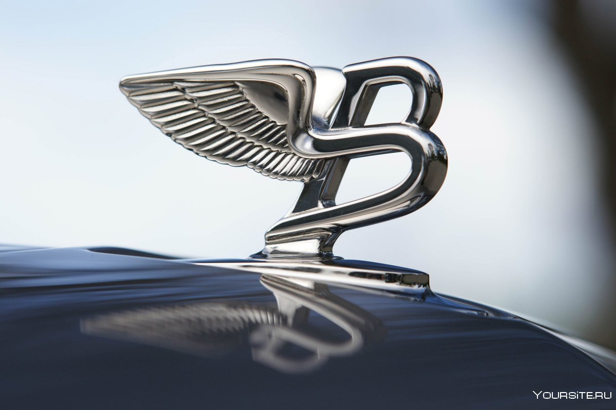 Bentley Continental gt эмблема