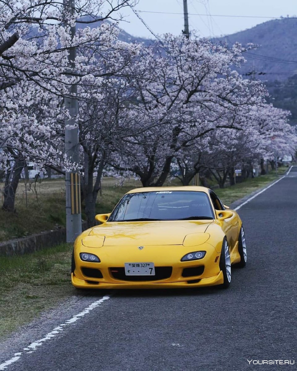 Infiniti g35 Sport Coupe