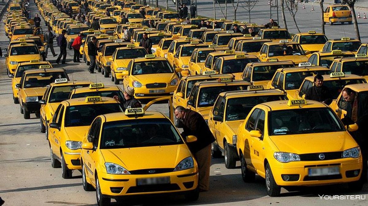 Много желтых машин