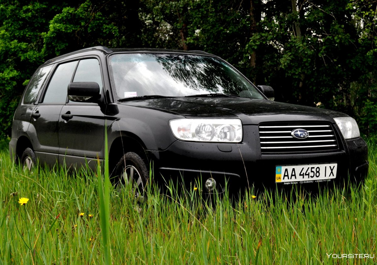 Снегоболотоход Лесник экстрим