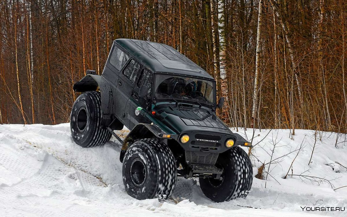 Снегоболотоход Лесник