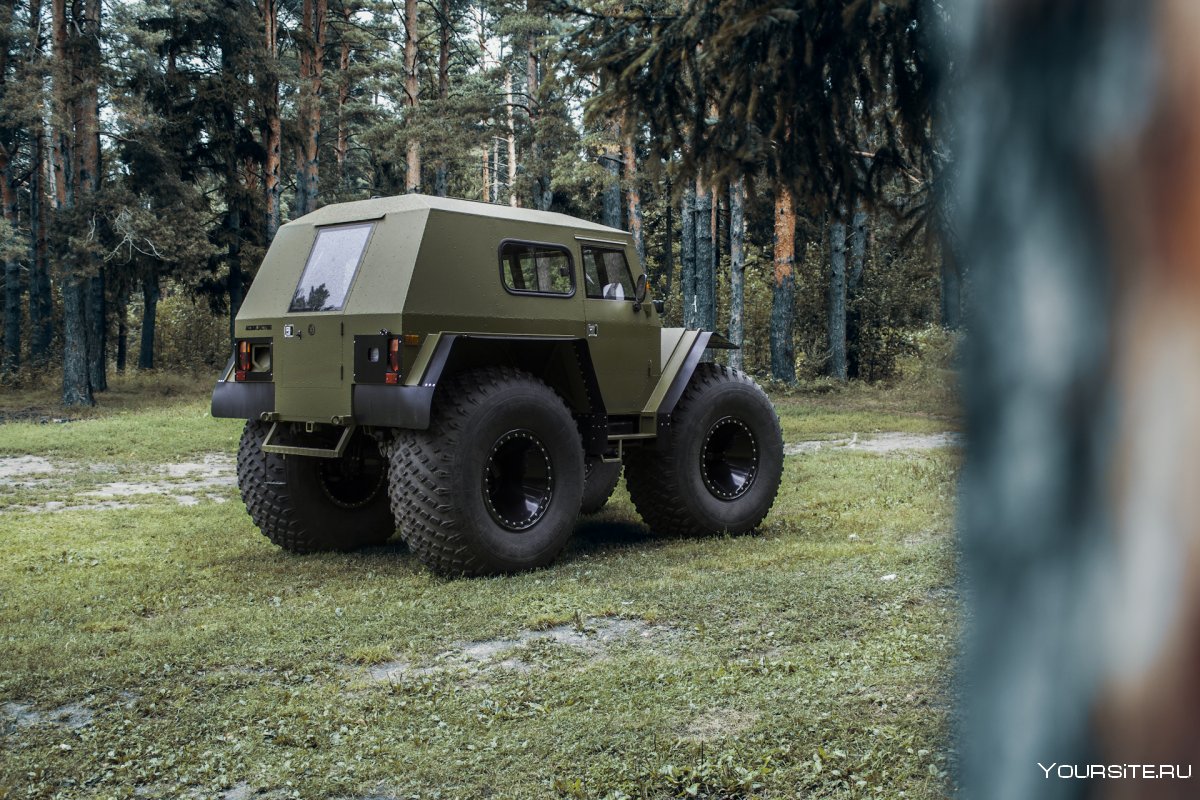 Лесничий профессия