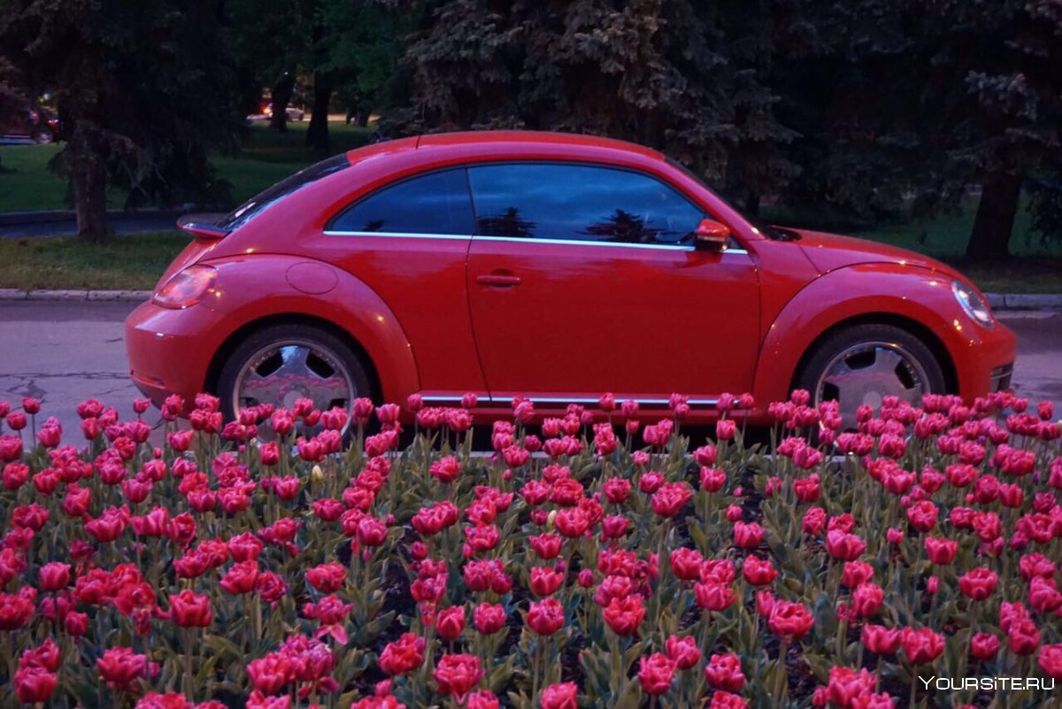 Volkswagen Жук New Beetle 1998
