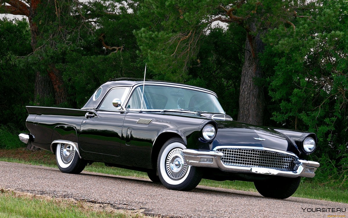 2009 Ford Thunderbird