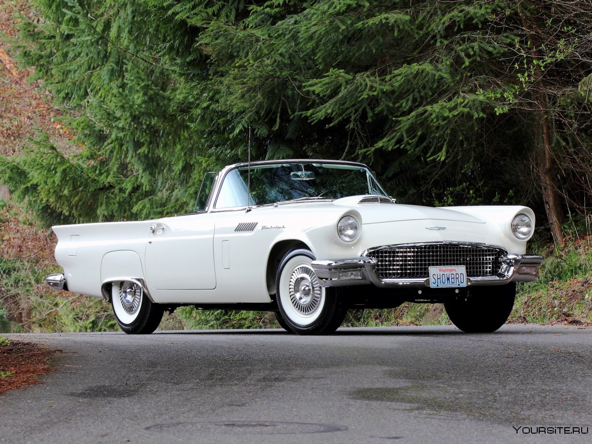 1957 Ford Thunderbird 40