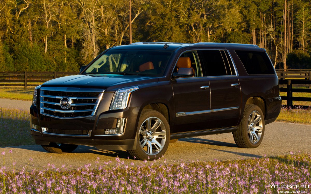 Cadillac Escalade 2020