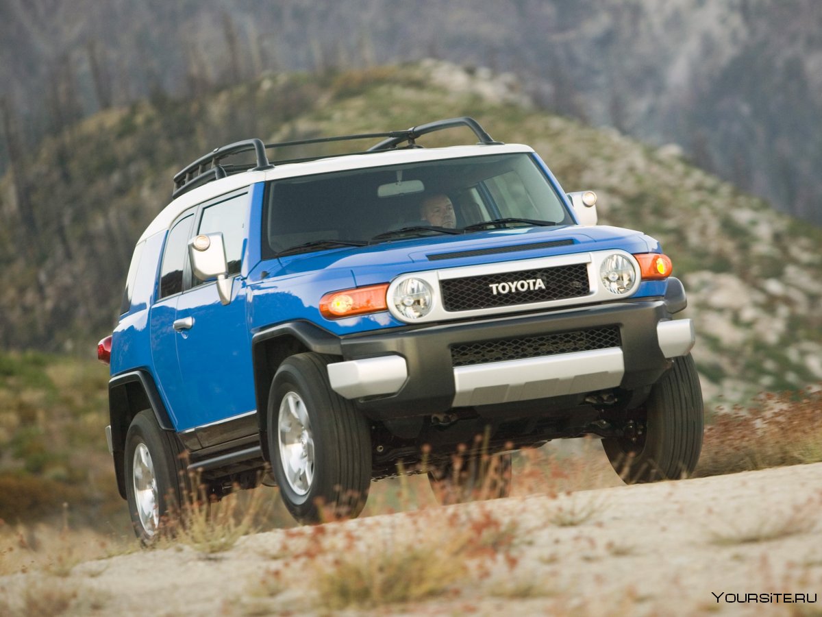 Toyota FJ Cruiser 2010