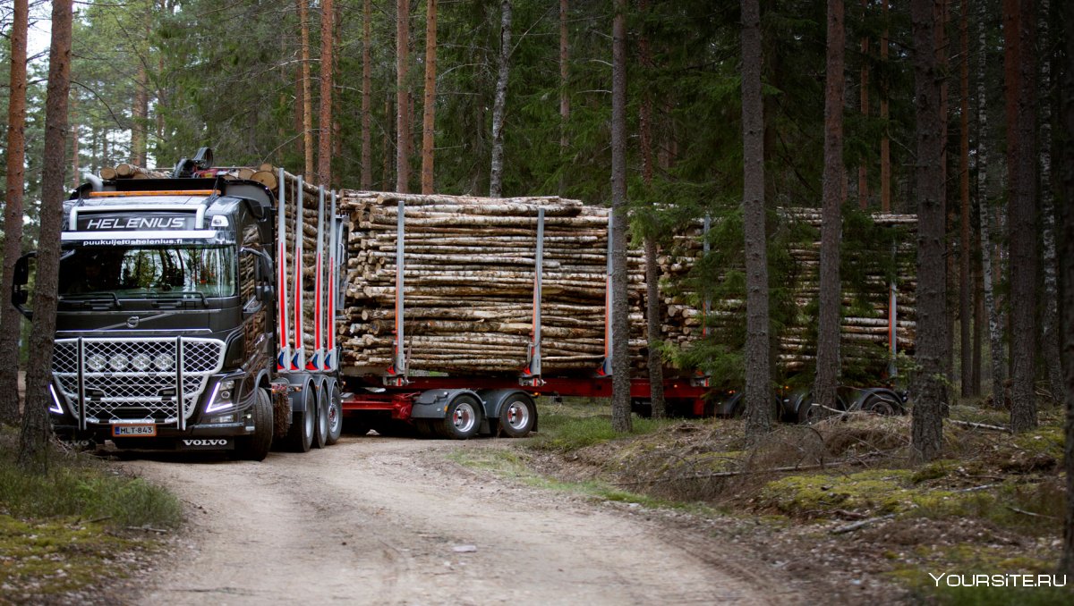 Volvo fh16 лесовоз
