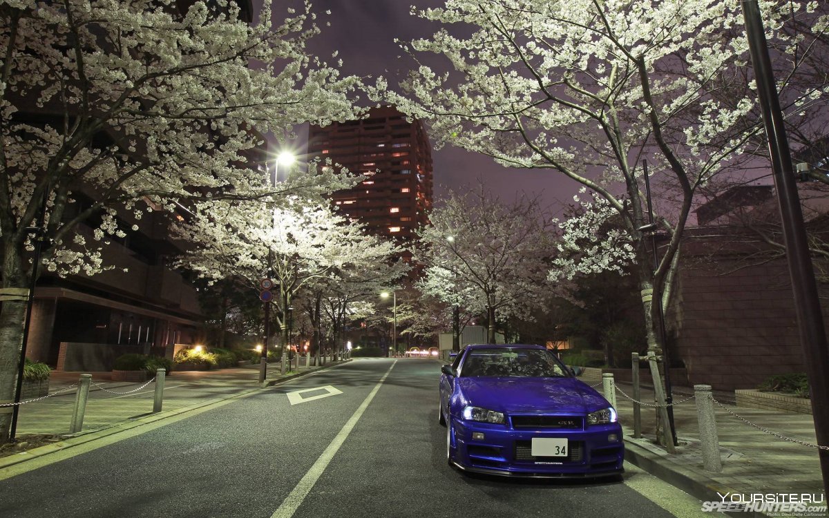 Nissan Skyline r34 под сакурой
