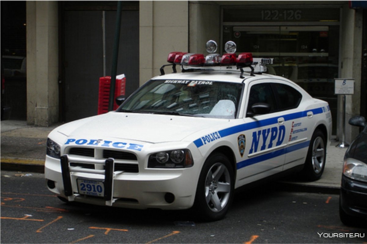 Police Department dodge Charger США