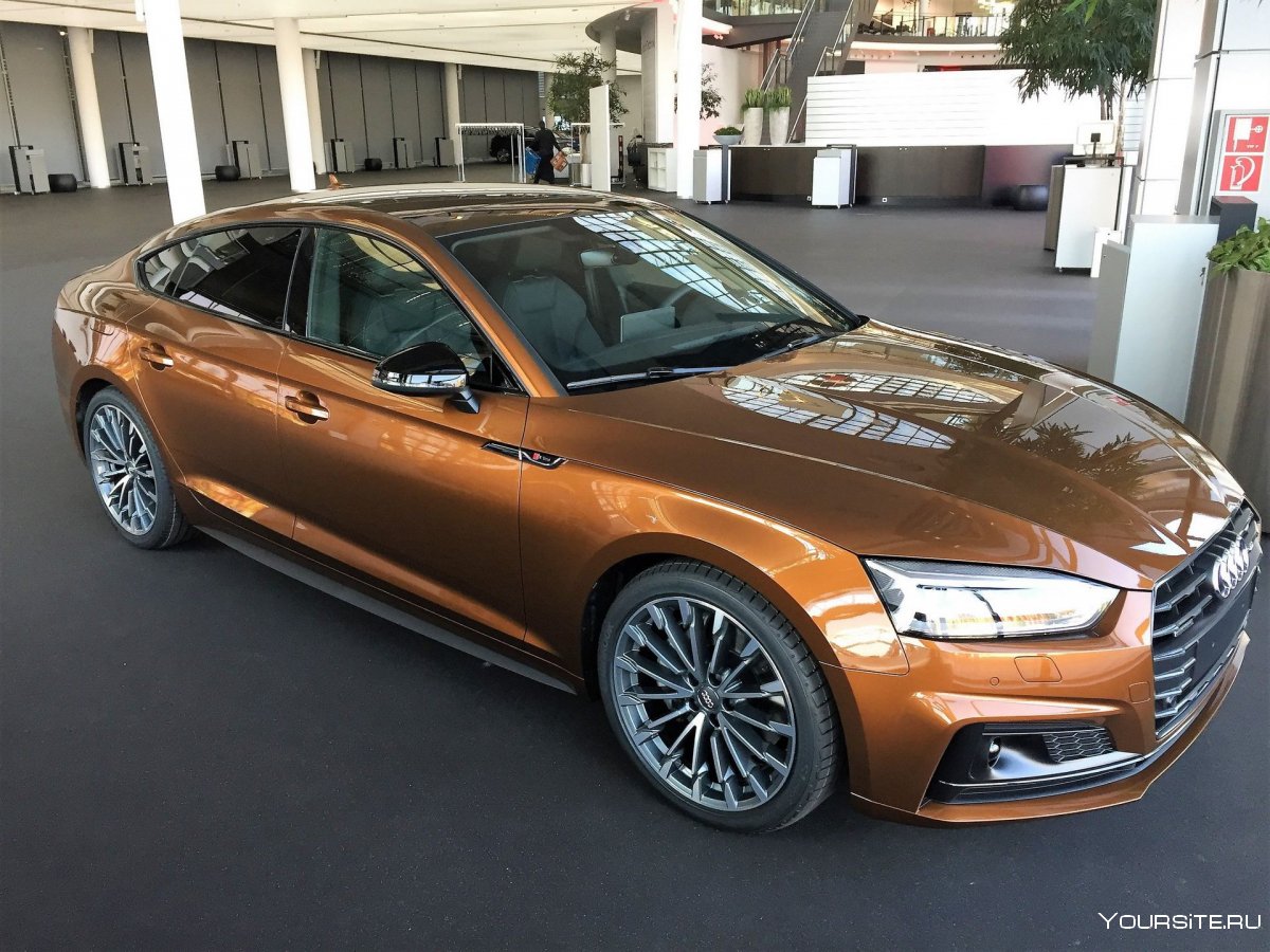 Ipanema Brown Audi Exclusive