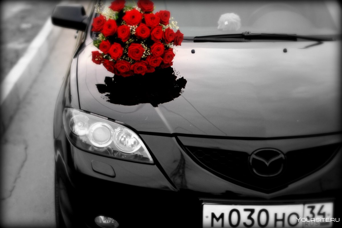 Розы на капоте машины
