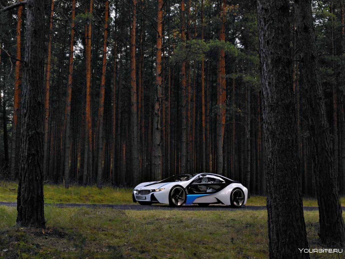 BMW m5 в лесу