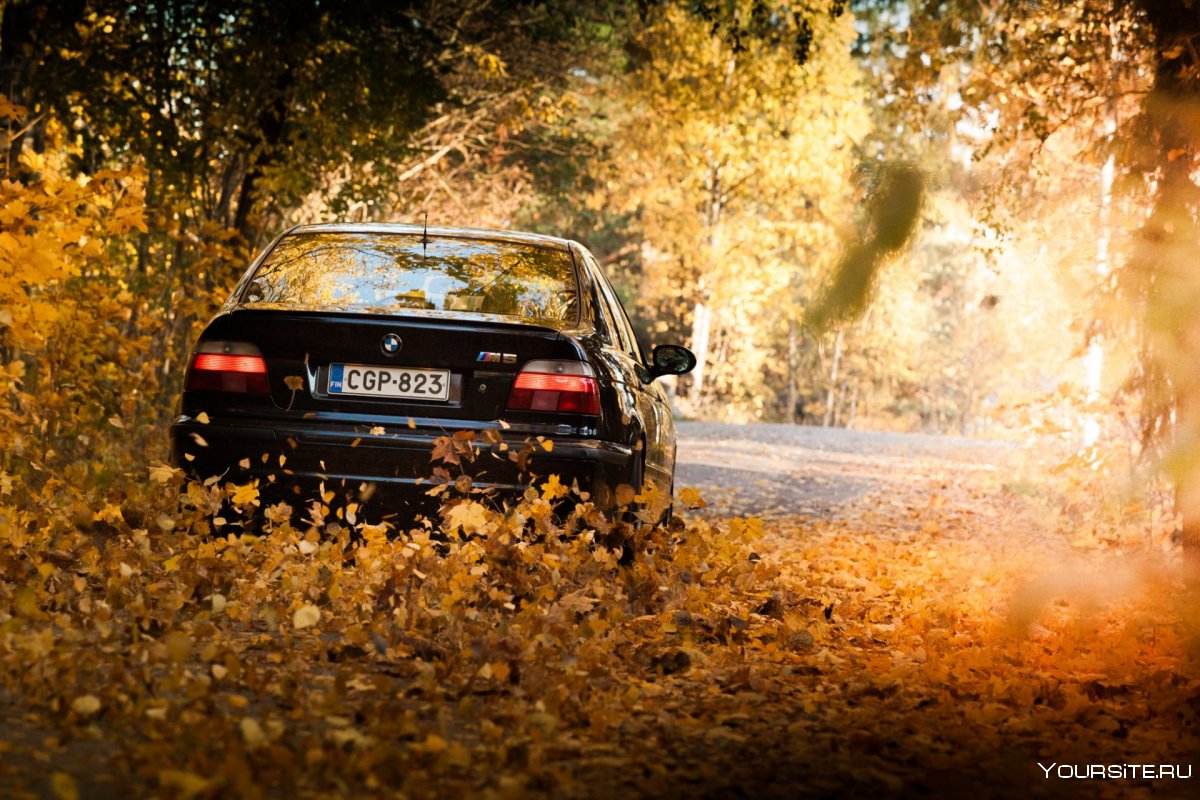 BMW e34 autumn