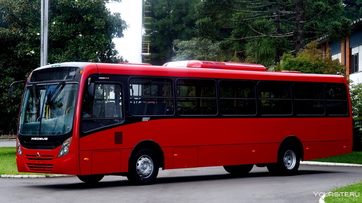 Машины автобусы