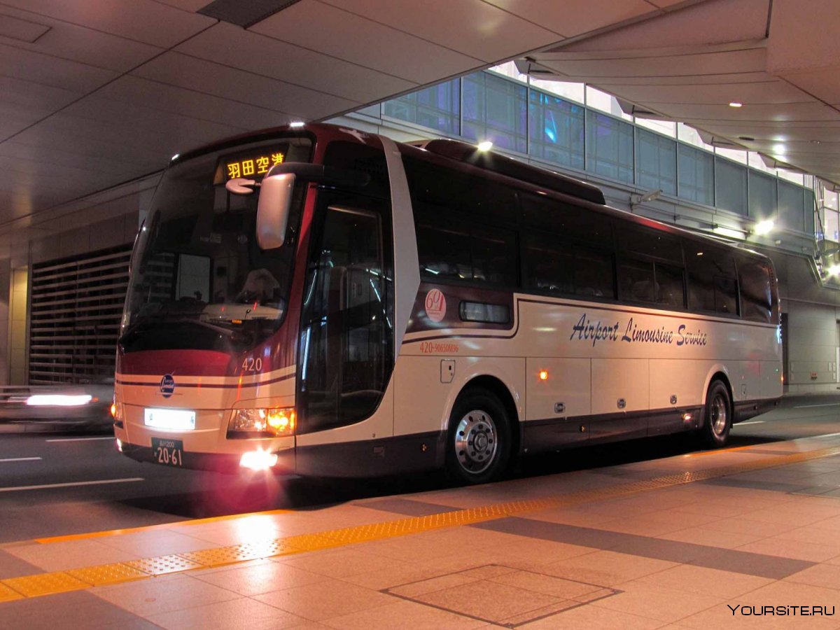 Limousine Bus