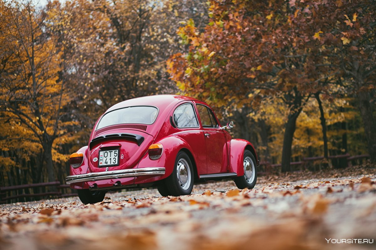 Volkswagen Beetle ретро