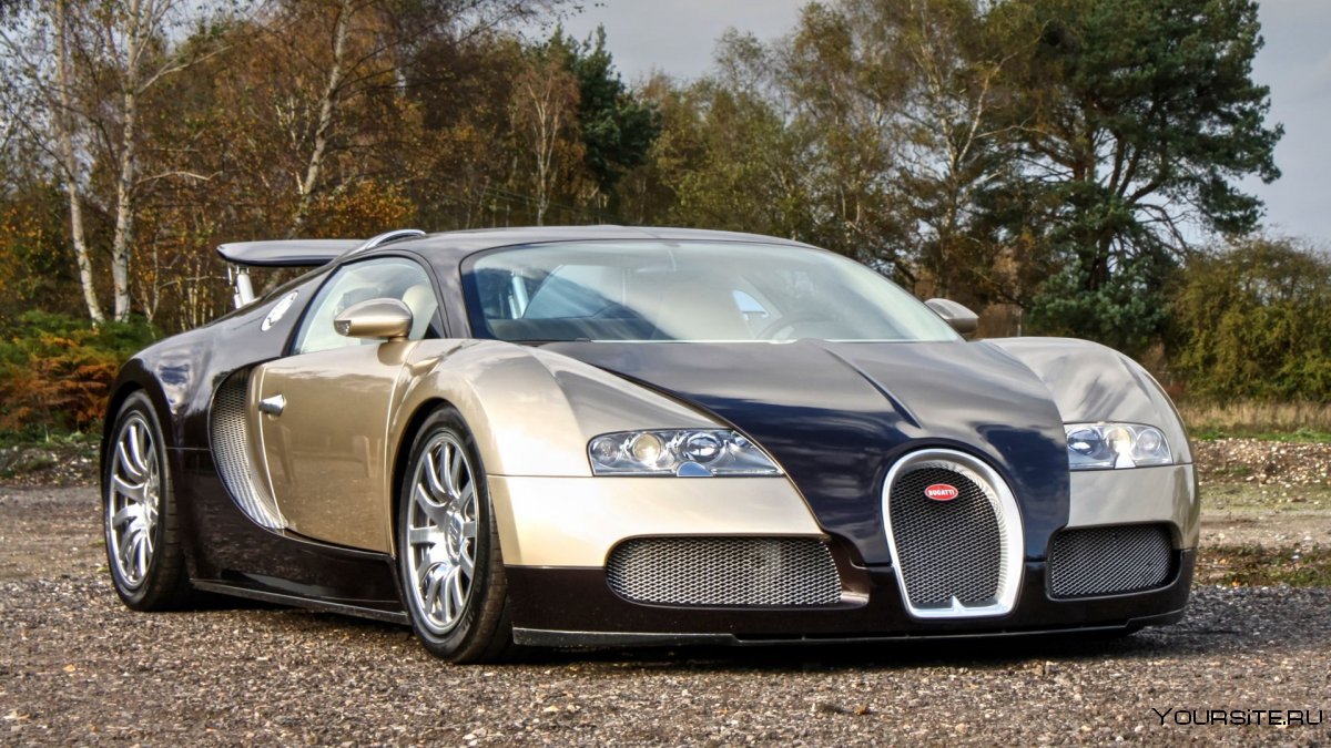 Bugatti Veyron 16.4 2009