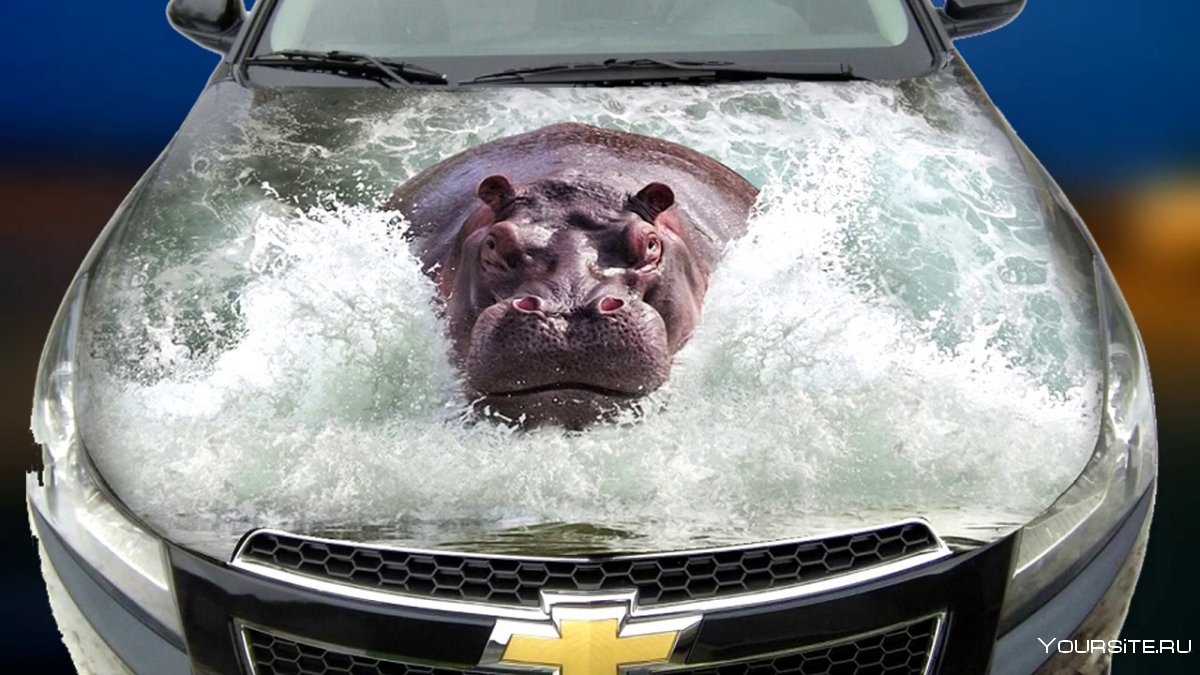 Автомобиль похожий на животное
