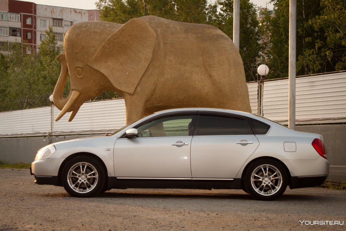 Тойота Бегемот 2006