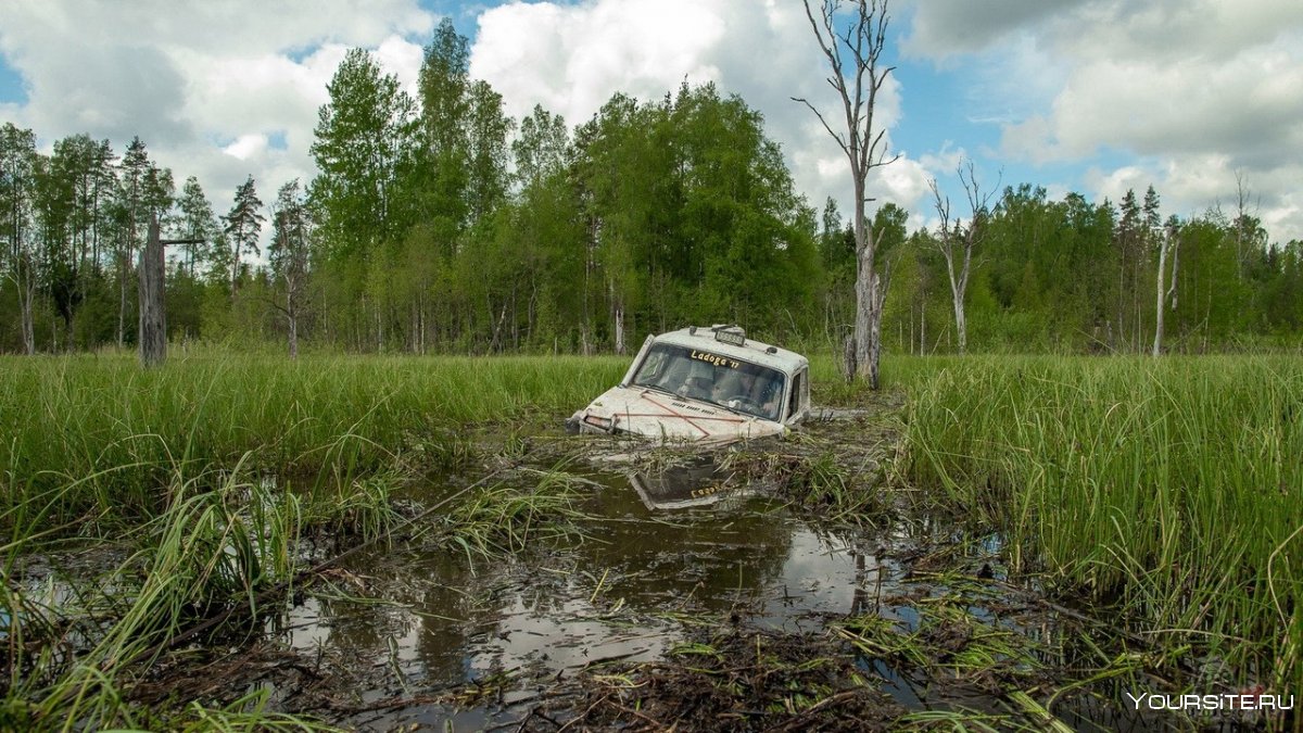 Ладога 2010 болота