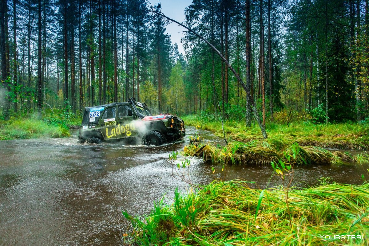 Карелия УАЗ 469 природа