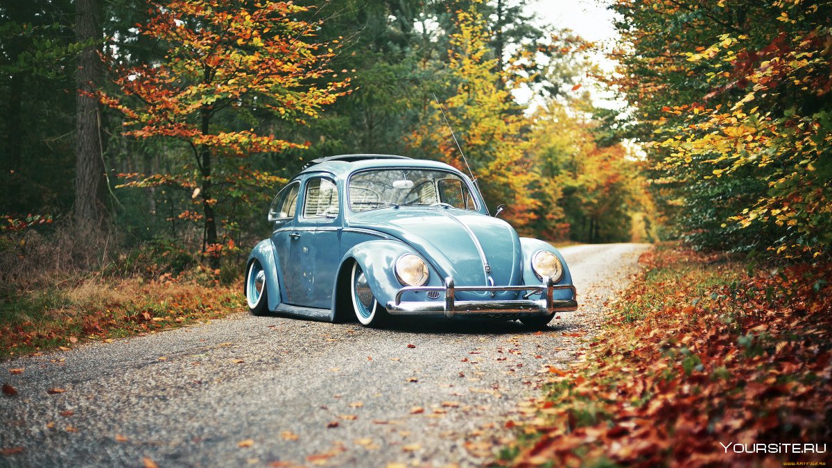 VW Beetle stance