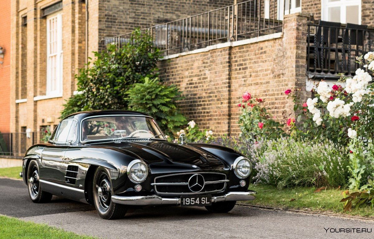 Чили перец в машину