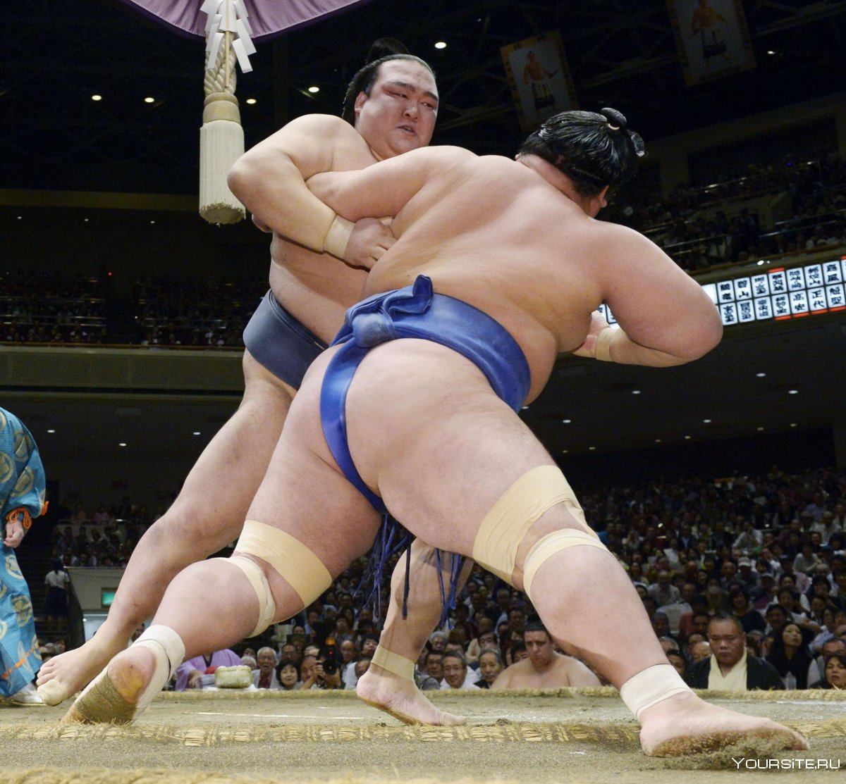 Чемпион сумо давагдорж