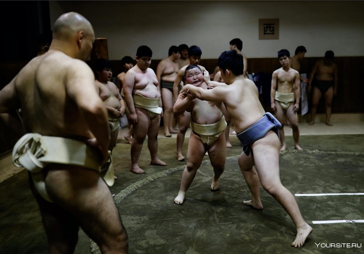 Спорт Японии сумо