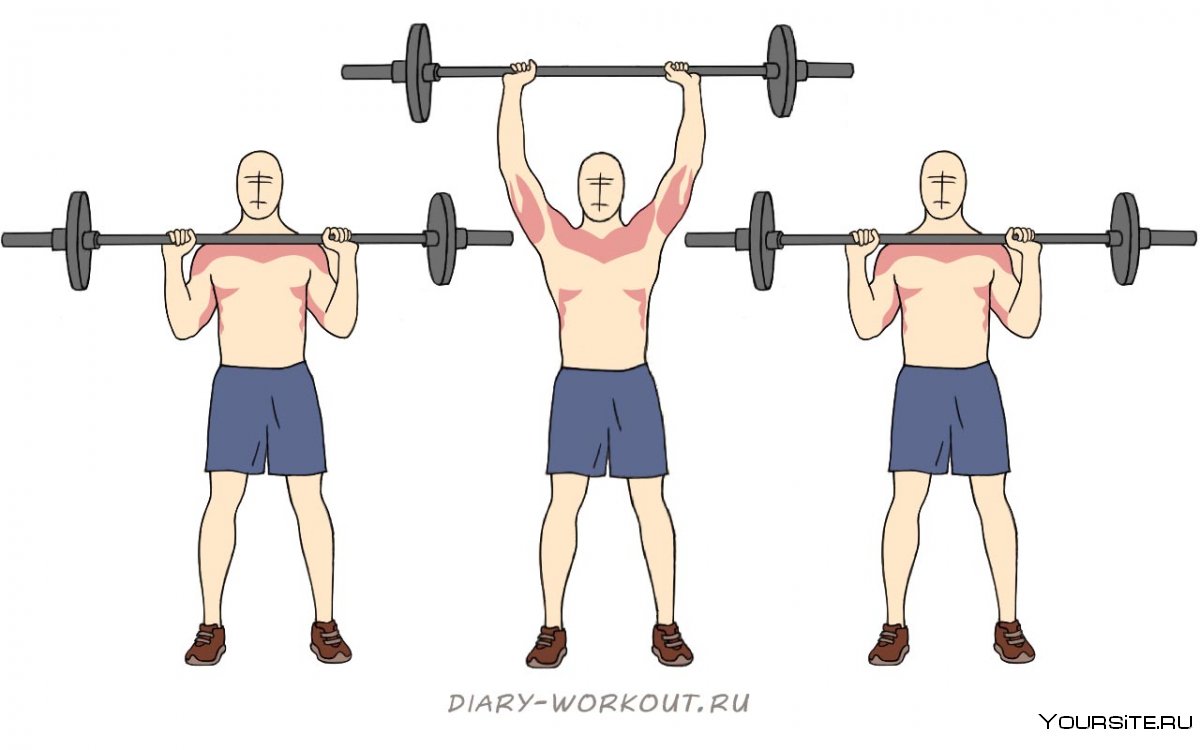 Жимовой швунг с гантелями