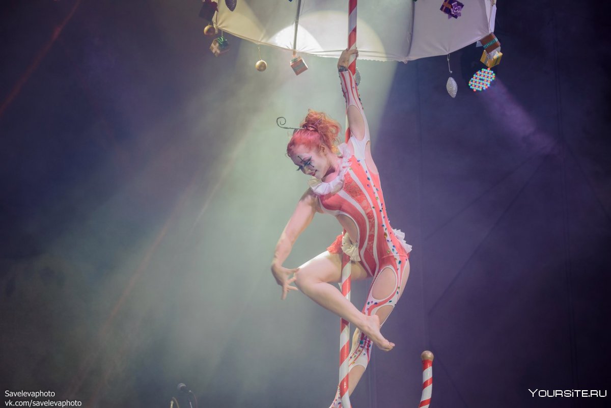 Екатеринбург цирк воздушные гимнасты
