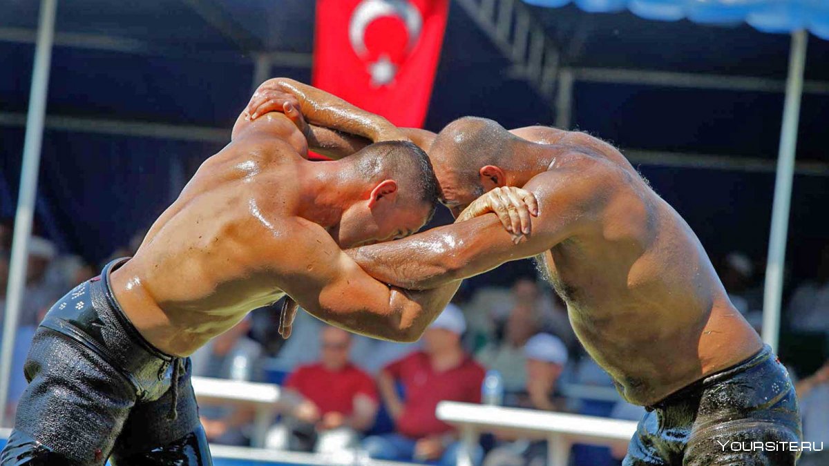 Турецкая масляная борьба Киркпинар