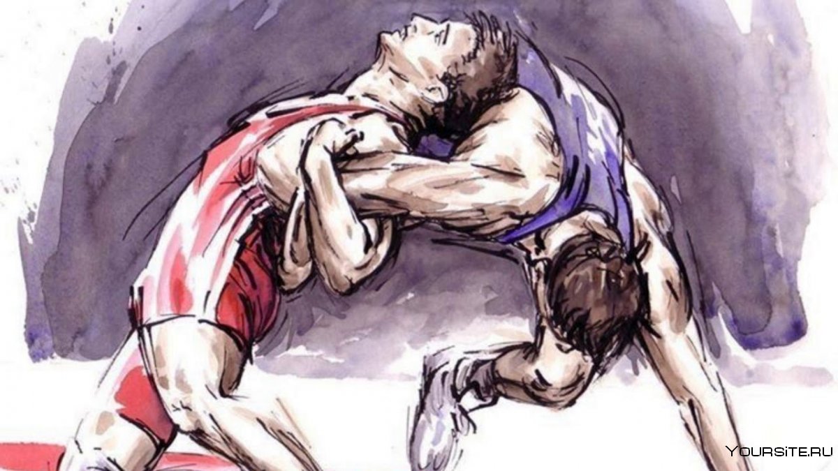 Вольная борьба картинки Графика