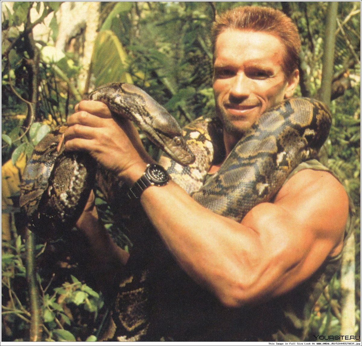 Arnold Schwarzenegger Predator 1987