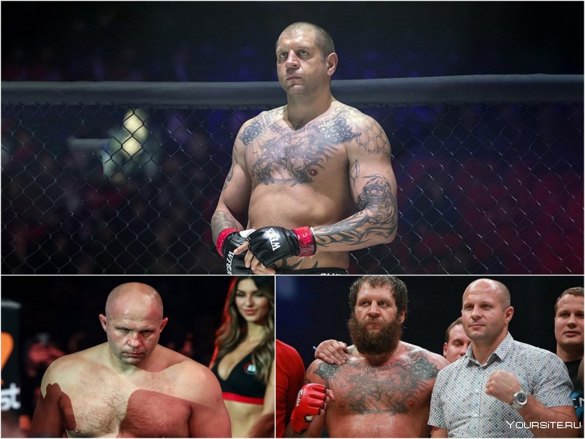 Смешанные единоборства Федор Емельяненко