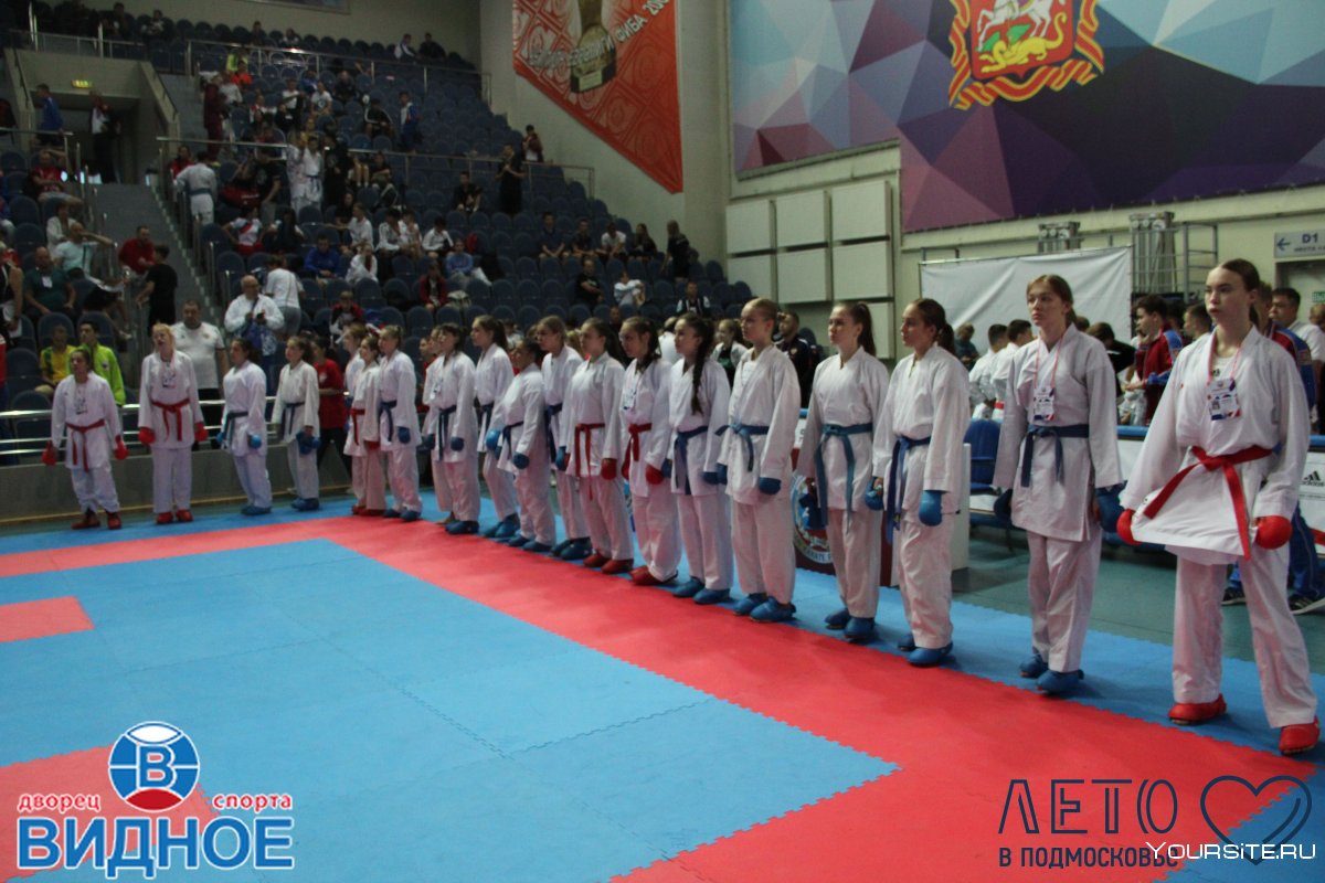 Светлана Ореханова каратэ