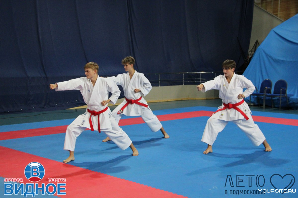 Шамина Екатерина Karate