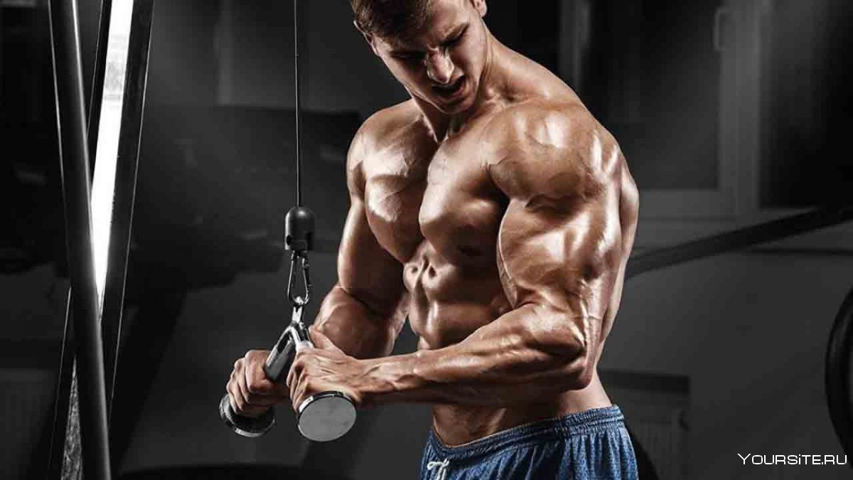 Бодибилдеры тренируются