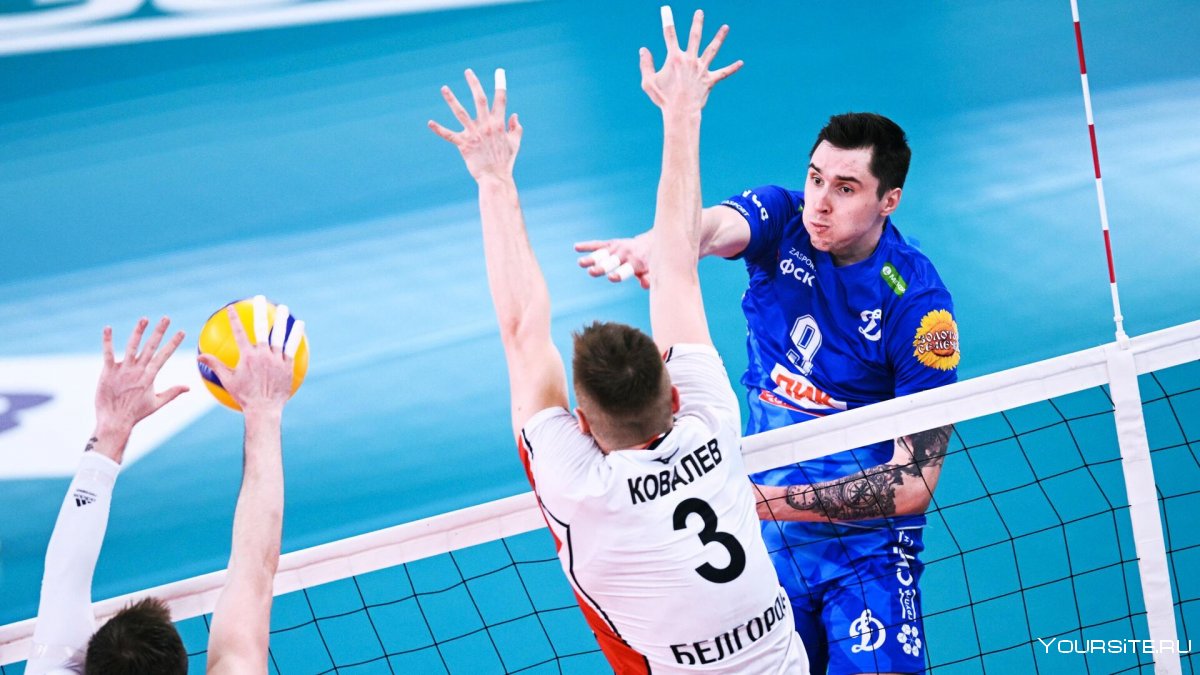 Дмитрий Ильиных волейболист