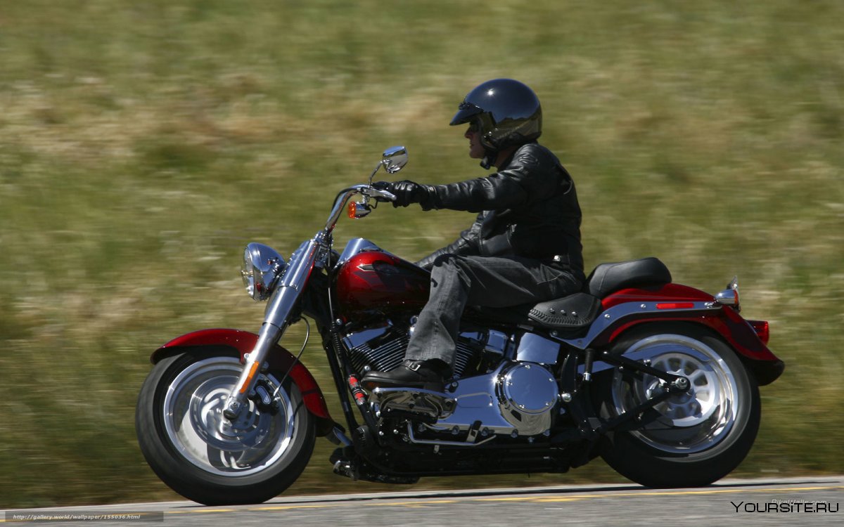 Мотоцикл Harley Davidson FLSTF ( fat boy )