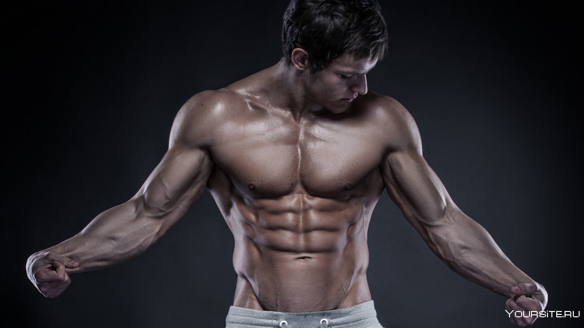 Майкл ДЕМЕЛЛО muscle