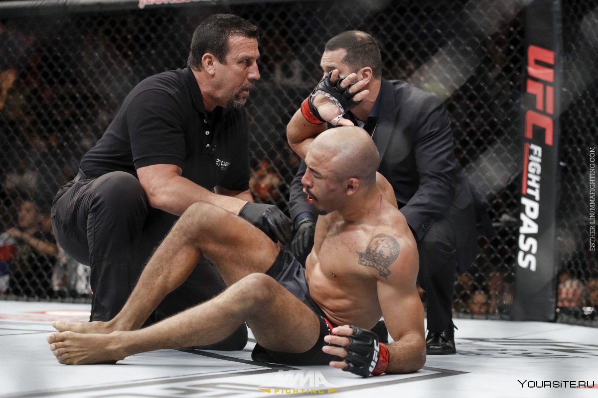 Петр Ян боец UFC