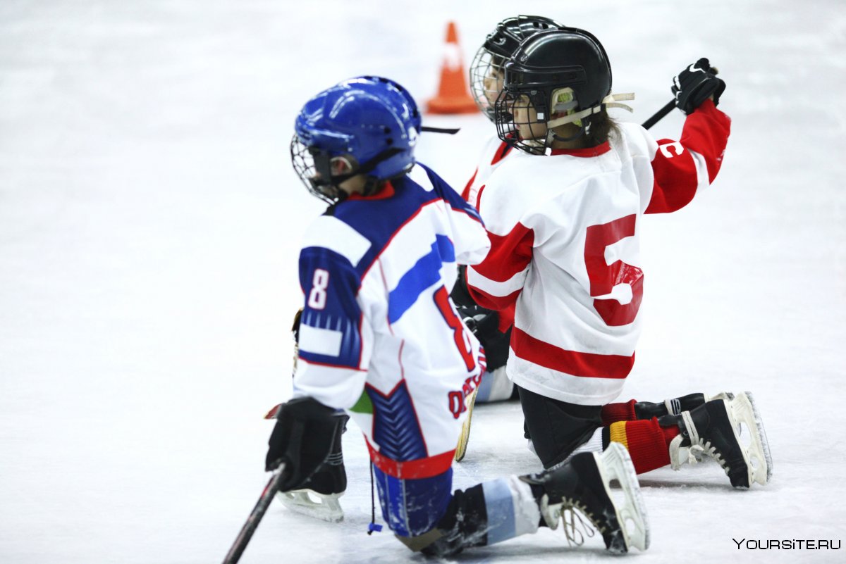 Дети играющие в хоккей